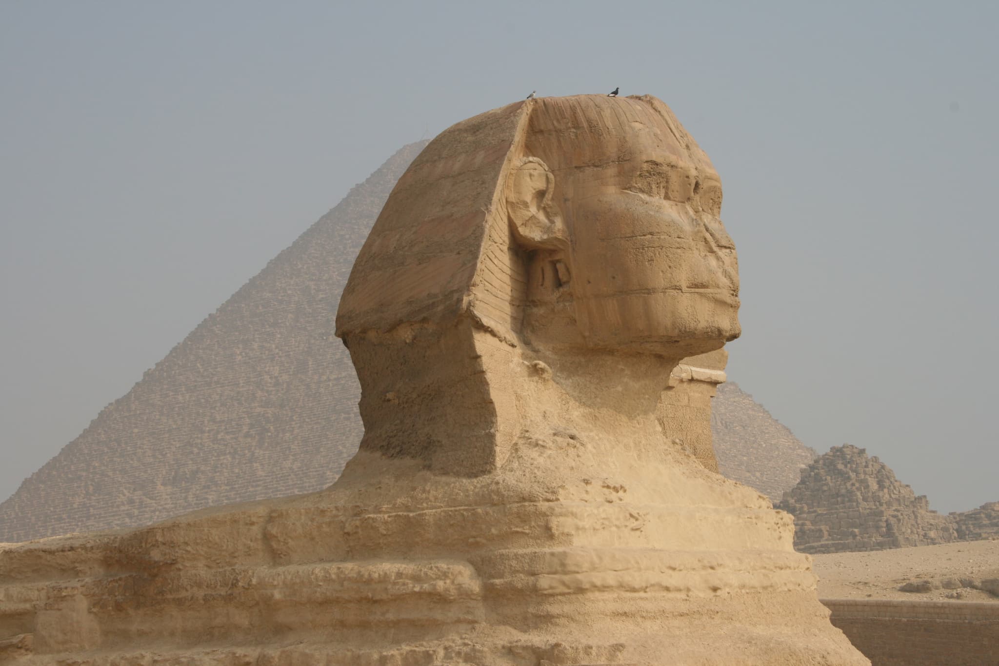 Close-up profile of the Great Sphinx with a pyramid beyond