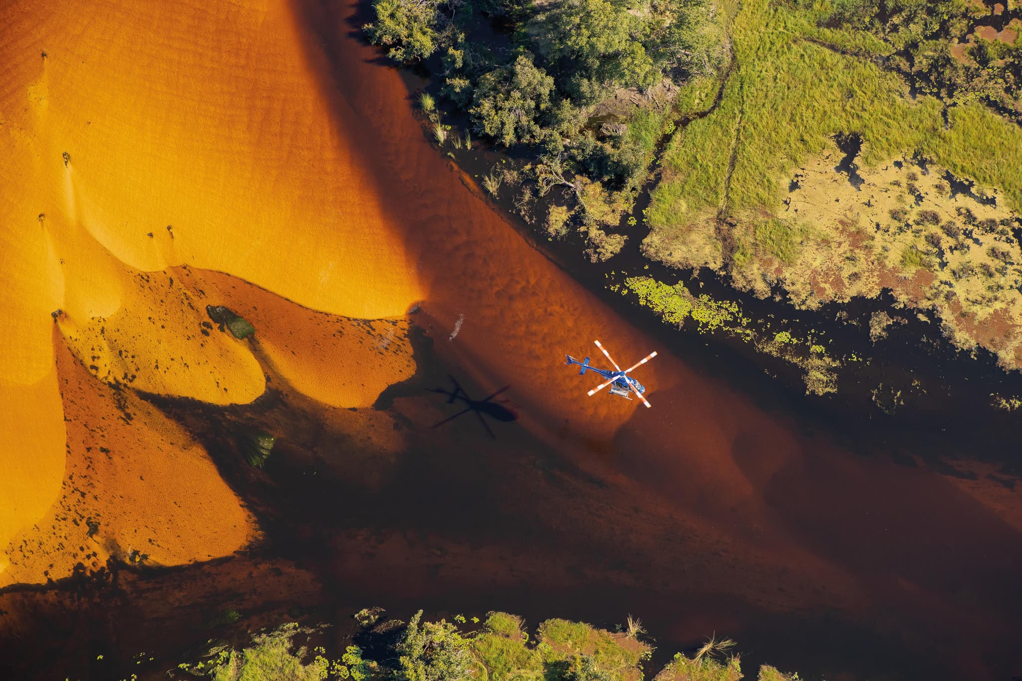 Aerial view of a helicopter flying over Xigera Lagoon where golden sand dunes meet lush green delta vegetation