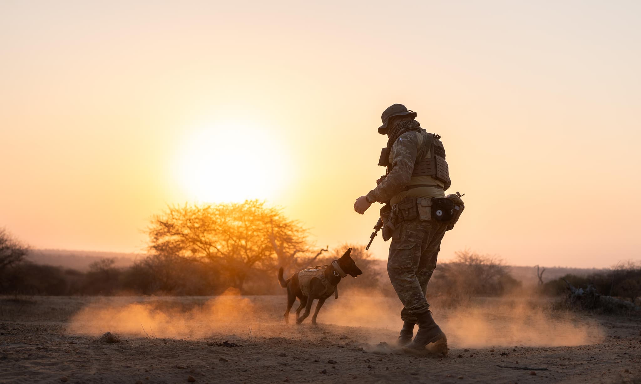 Anti-poaching ranger and trained dog silhouetted against a golden sunset, protecting wildlife in the African bush