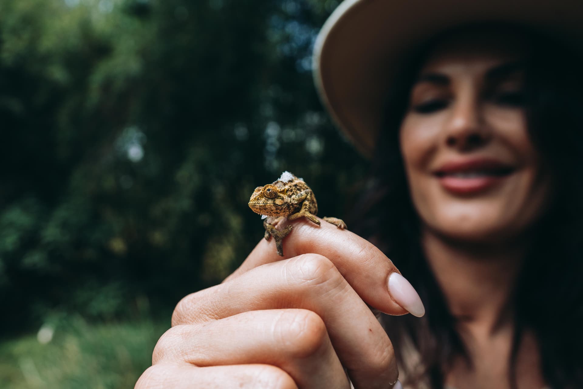 Woman in a hat holding a tiny chameleon on her finger in the bush