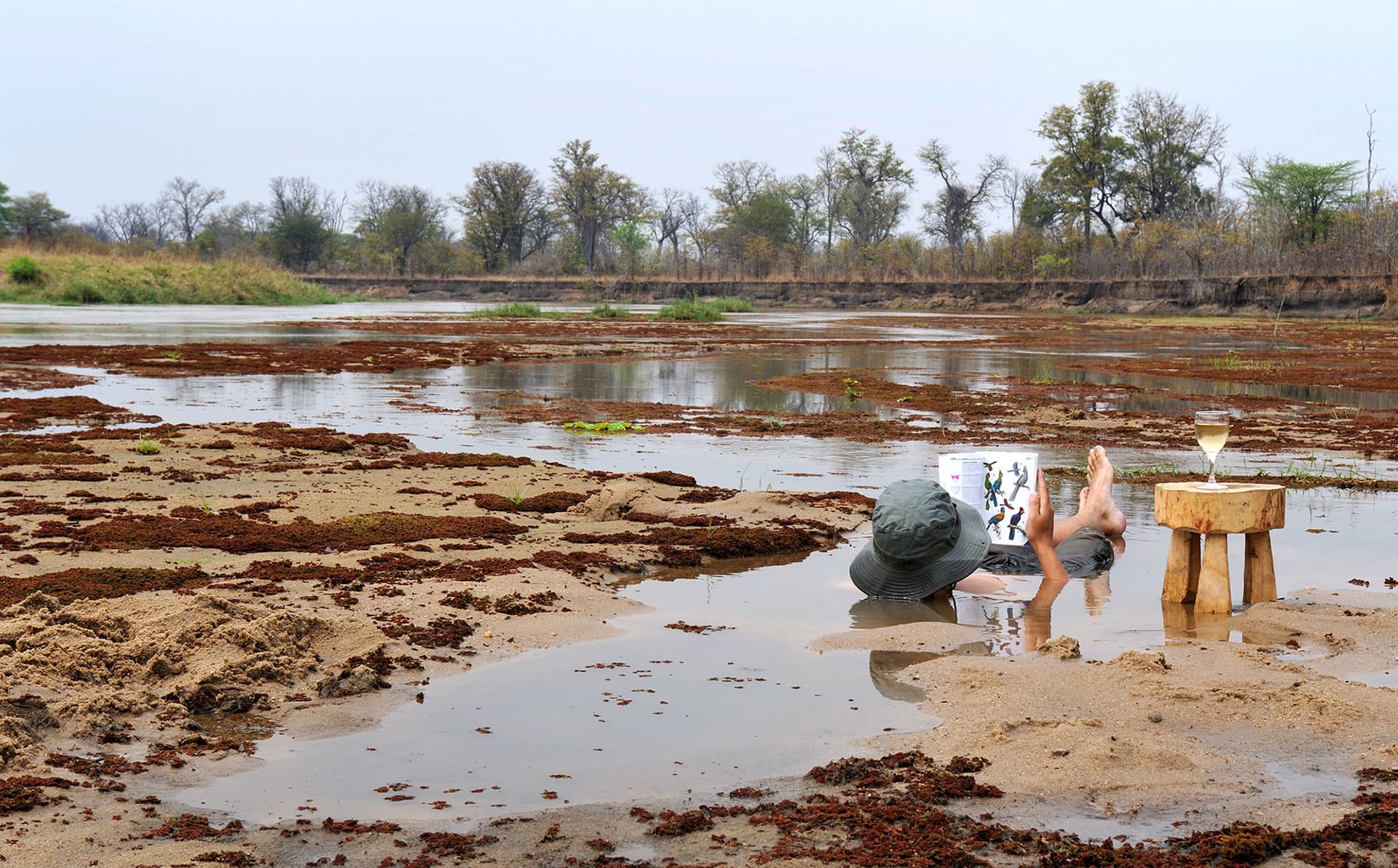 Person relaxing in a shallow river reading a bird guide with a glass of wine