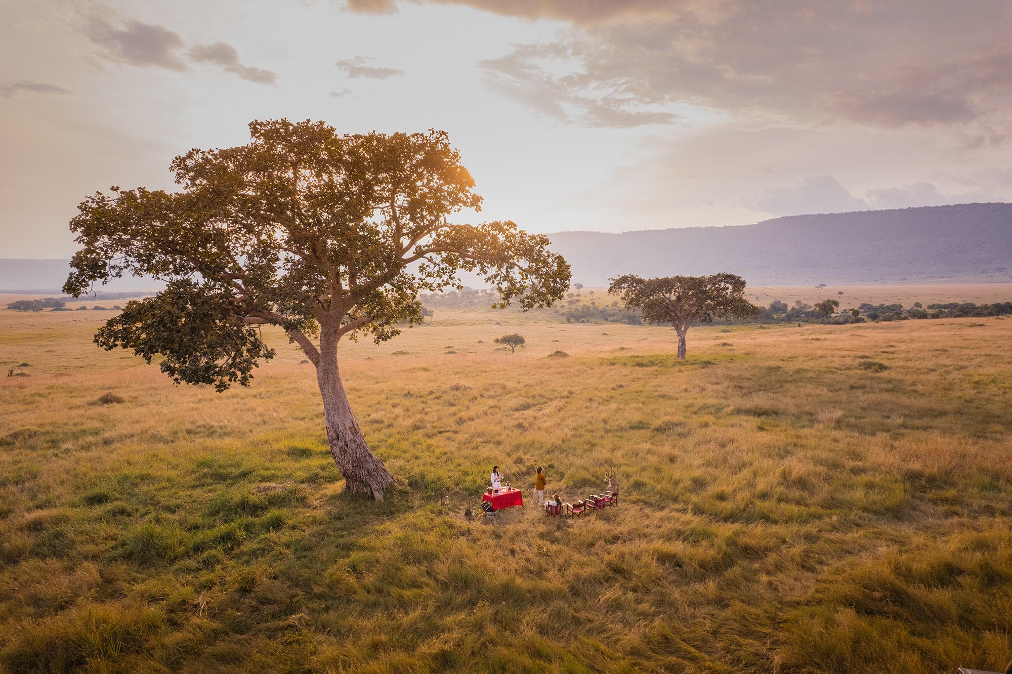 The Classic Kenya & Tanzania Safari