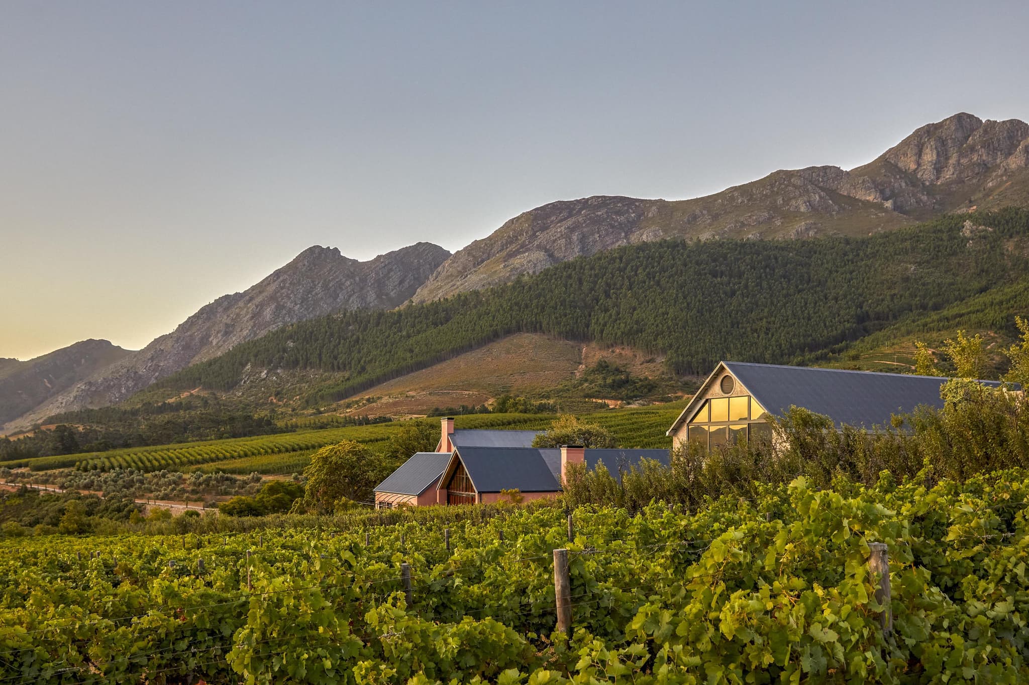 South Africa Explorer