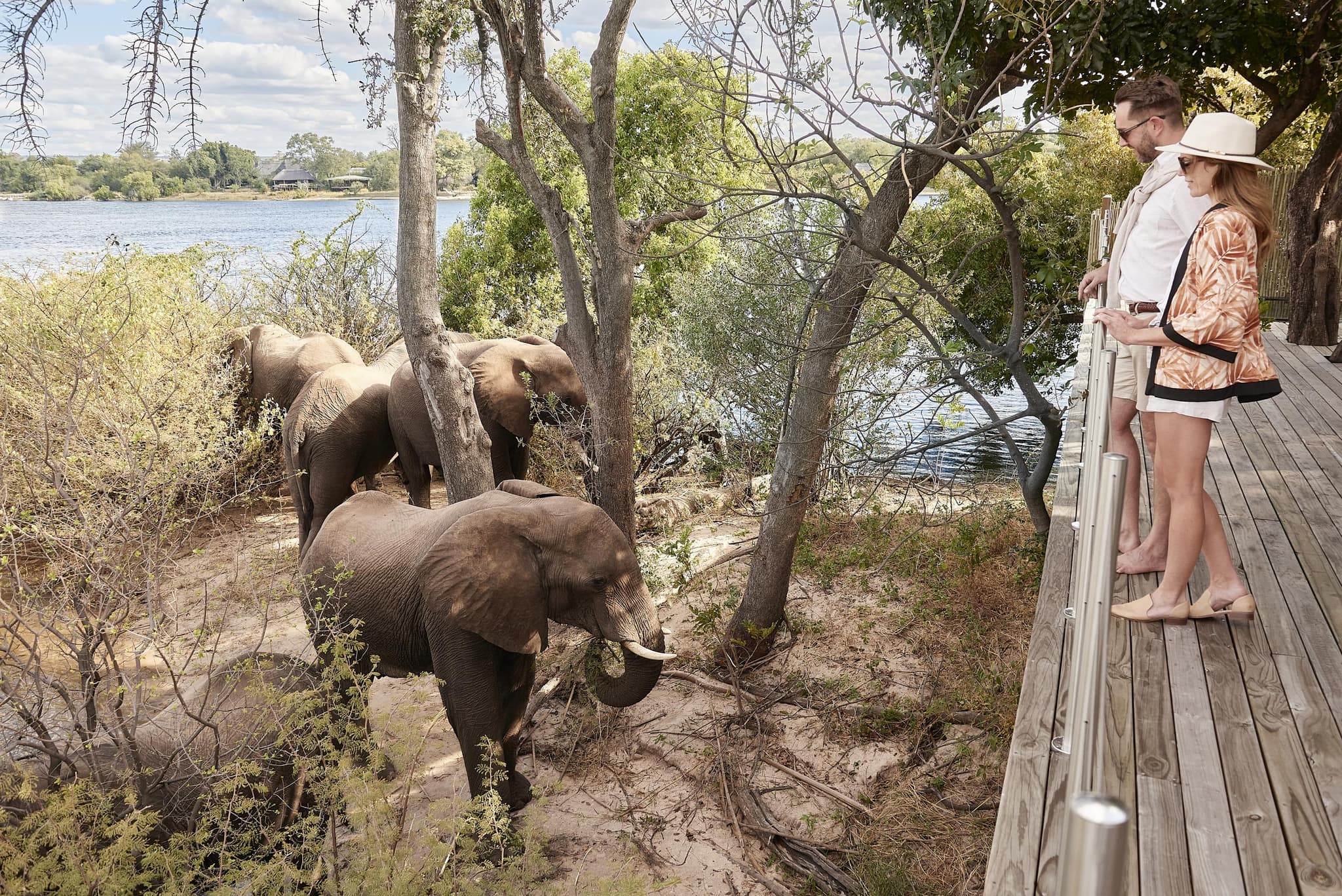 Couple watching elephants from a lodge boardwalk along the river