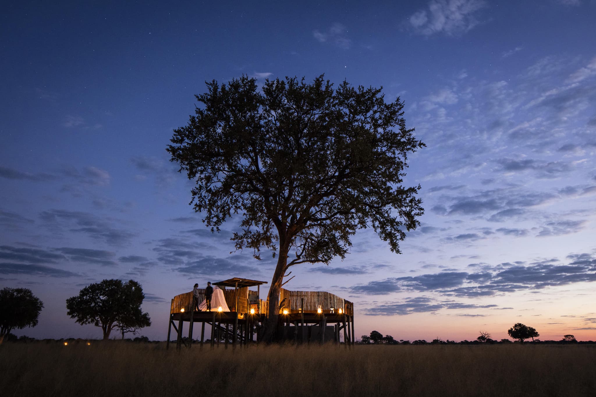Wilderness Linkwasha star bed elevated under a tree at twilight