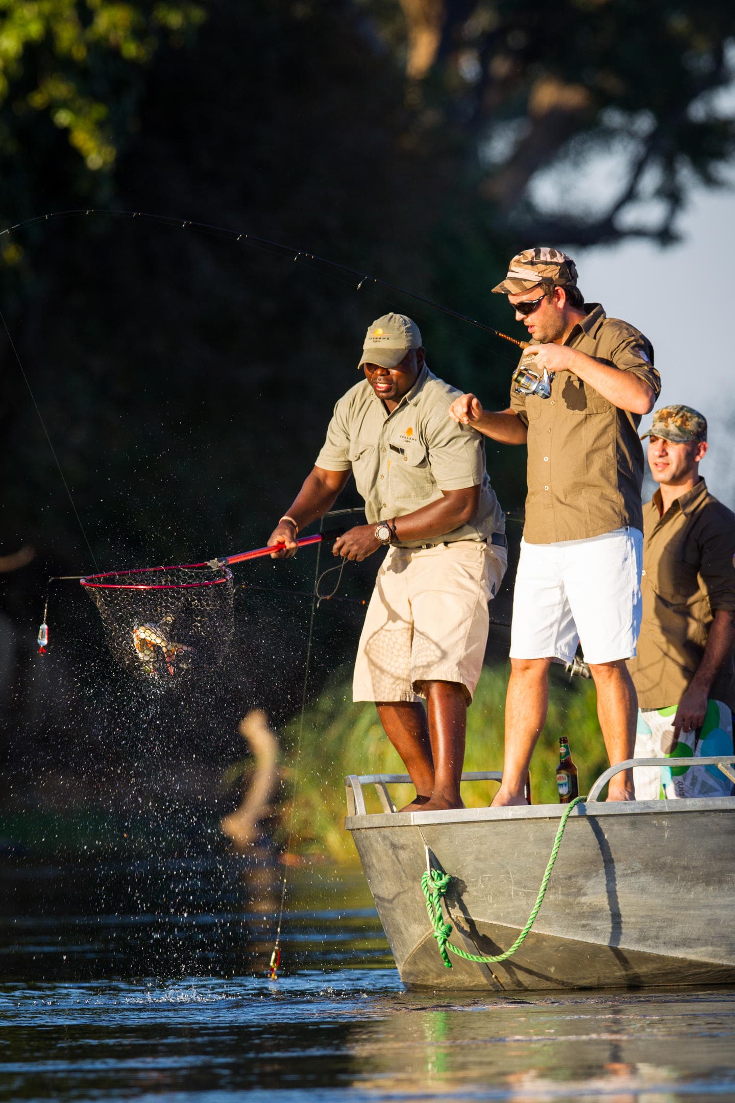 Guide netting a tiger fish on the Zambezi River